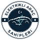 Elektrikli Araç Sahipleri
